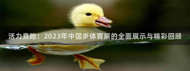 77体育：活力竞跑：2023年中国岁体育展的全面展示与精彩回顾