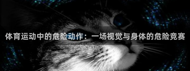 77体育官网：体育运动中的危险动作：一场视觉与身体的危险竞赛