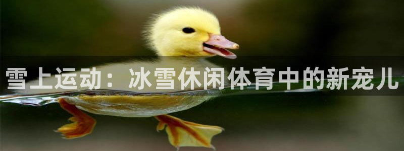 77体育官网：雪上运动：冰雪休闲体育中的新宠儿