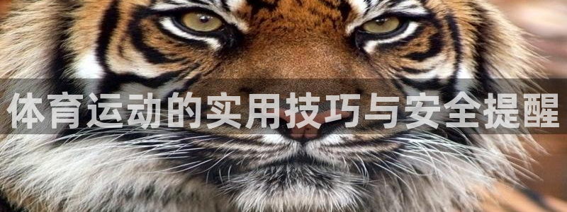 77体育官网：体育运动的实用技巧与安全提醒
