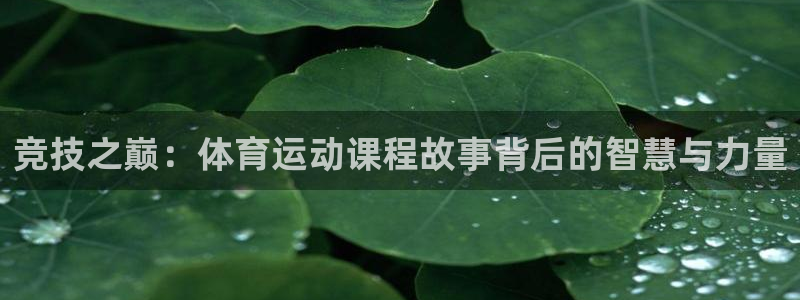 77体育：竞技之巅：体育运动课程故事背后的智慧与力量