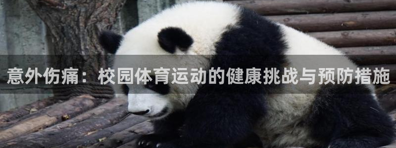 77体育官网：意外伤痛：校园体育运动的健康挑战与预防措施