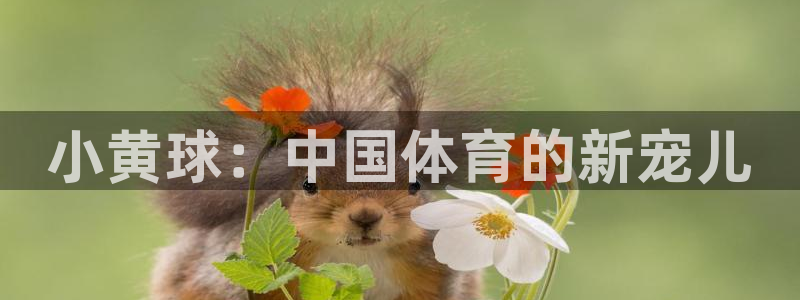 77体育官网：小黄球：中国体育的新宠儿