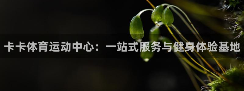 77体育：卡卡体育运动中心：一站式服务与健身体验基地